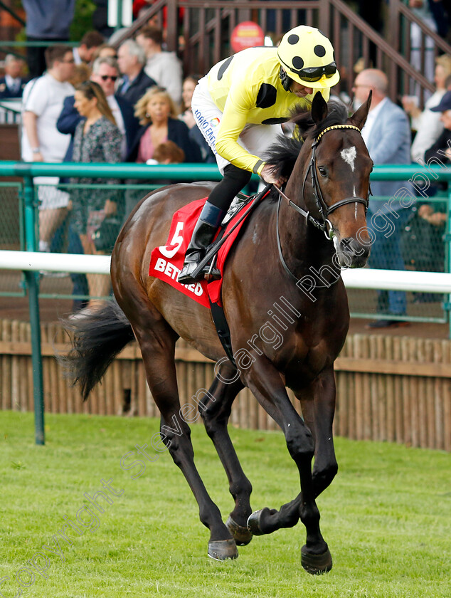 Inisherin-0008 
 INISHERIN (Tom Eaves) winner of The Betfred Sandy Lane Stakes
Haydock 25 May 2024 - Pic Steven Cargill / Racingfotos.com