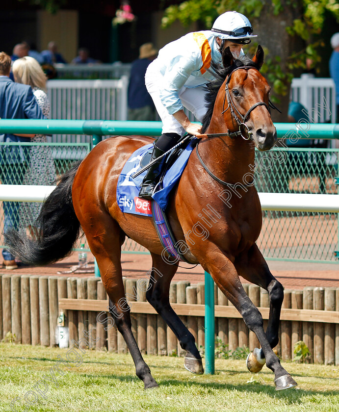 Clarendon-House-0002 
 CLARENDON HOUSE (Neil Callan)
Haydock 10 Jun 2023 - Pic Steven Cargill / Racingfotos.com