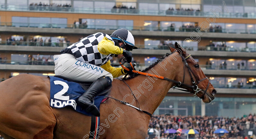 Jungle-Boogie-0004 
 JUNGLE BOOGIE (Darragh O'Keeffe) wins The Howden Graduation Chase
Ascot 21 Dec 2024 - Pic Steven Cargill / Racingfotos.com