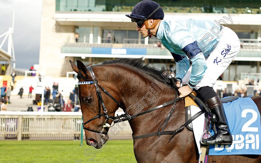 Chic-Colombine-0001 
 CHIC COLOMBINE (Kevin Stott)
Newmarket 13 Oct 2023 - Pic Steven Cargill / Racingfotos.com