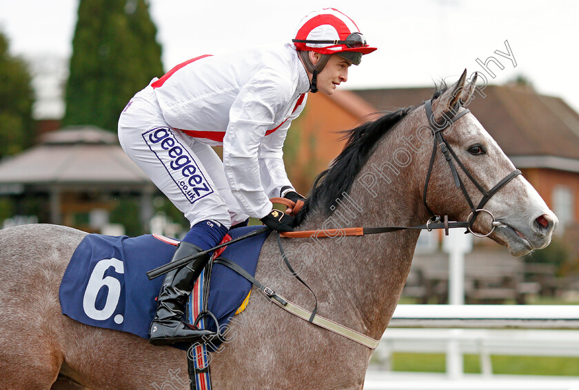 Stately-Home-0002 
 STATELY HOME (Callum Rodriguez)
Lingfield 4 Jan 2020 - Pic Steven Cargill / Racingfotos.com