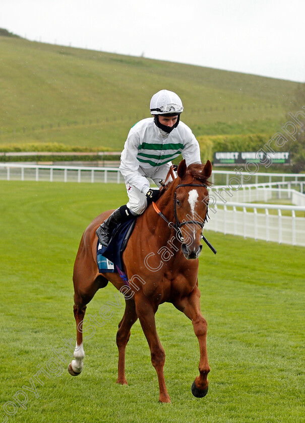 Aleas-0001 
 ALEAS (Rossa Ryan)
Goodwood 21 May 2021 - Pic Steven Cargill / Racingfotos.com