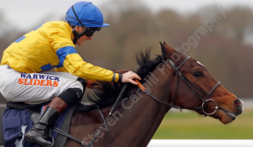 Sun-God-0002 
 SUN GOD (Trevor Whelan) wins The Boost Your Acca At Betmgm Nursery
Lingfield 23 Dec 2023 - Pic Steven Cargill / Racingfotos.com