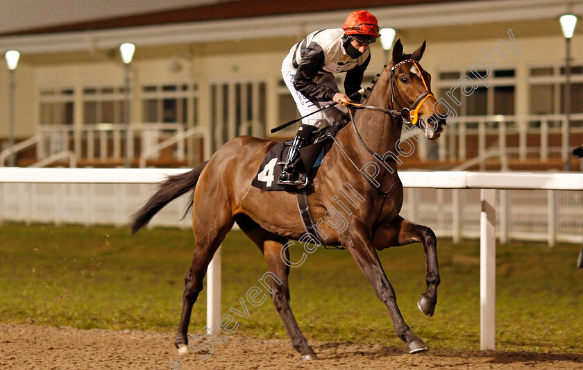 Polar-Ice-0002 
 POLAR ICE (Luke Morris)
Chelmsford 22 Jan 2021 - Pic Steven Cargill / Racingfotos.com