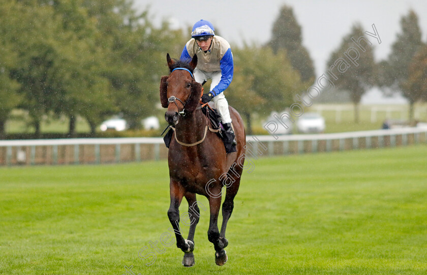 Baltic-0001 
 BALTIC (James Doyle)
Newmarket 26 Sep 2024 - pic Steven Cargill / Racingfotos.com