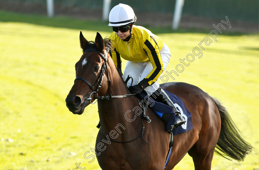 Butsova-0001 
 BUTSOVA (Hayley Turner)
Yarmouth 23 Oct 2018 - Pic Steven Cargill / Racingfotos.com