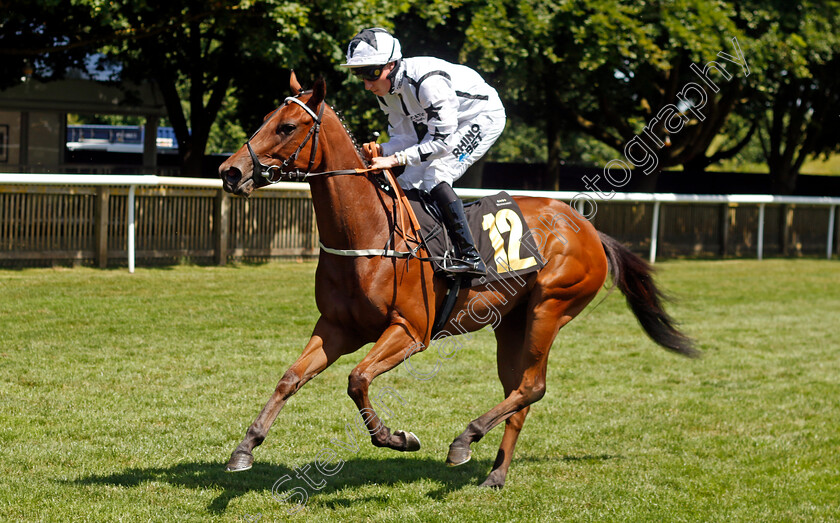 Teej-A-0001 
 TEEJ A (Sam James)
Newmarket 29 Jun 2024 - Pic Steven Cargill / Racingfotos.com