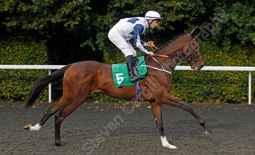 Footwork-0001 
 FOOTWORK (Richard Kingscote)
Kempton 6 Sep 2024 - Pic Steven Cargill / Racingfotos.com