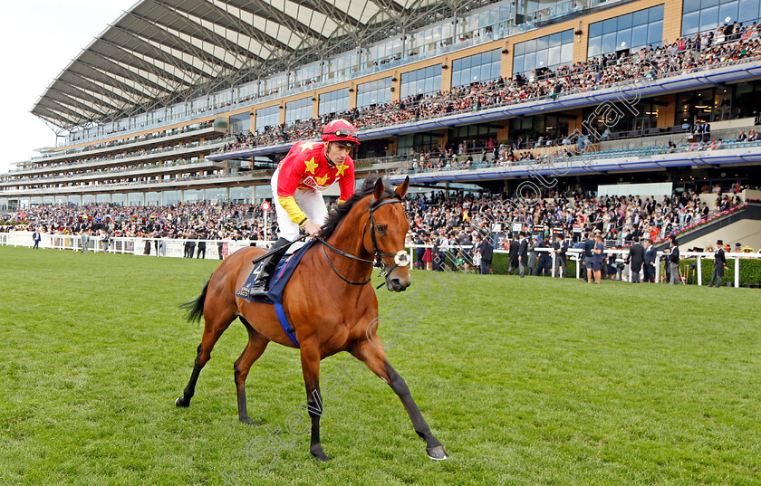 State-Of-Rest-0001 
 STATE OF REST (Shane Crosse) winner of The Prince Of Wales's Stakes
Royal Ascot 15 Jun 2022 - Pic Steven Cargill / Racingfotos.com