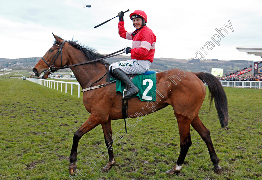 Laurina-0007 
 LAURINA (Paul Townend) after The Trull House Stud Mares Novices Hurdle Cheltenham 15 Mar 2018 - Pic Steven Cargill / Racingfotos.com