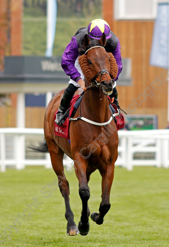 Rainbow-Dreamer-0001 
 RAINBOW DREAMER (Tom Marquand)
Newbury 15 May 2021 - Pic Steven Cargill / Racingfotos.com