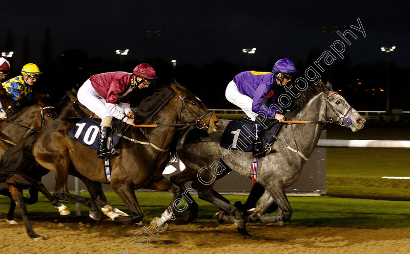 Grey-Britain-0001 
 GREY BRITAIN (Darragh Keenan) leads KESWICK (left) 
Wolverhampton 28 Nov 2018 - Pic Steven Cargill / Racingfotos.com