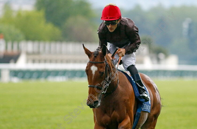 Birthe-0010 
 BIRTHE (A Lemaitre) winner of The Coolmore Prix Saint-Alary
Longchamp 12 May 2024 - Pic Steven Cargill / Racingfotos.com