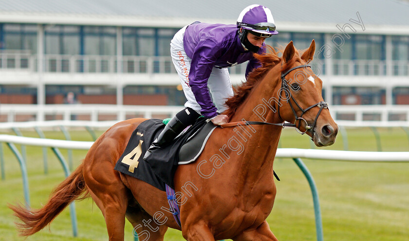 Sir-Rumi-0001 
 SIR RUMI (Rossa Ryan) winner of The Racing TV Profits Returned To Racing Novice Stakes
Nottingham 27 Apr 2021 - Pic Steven Cargill / Racingfotos.com