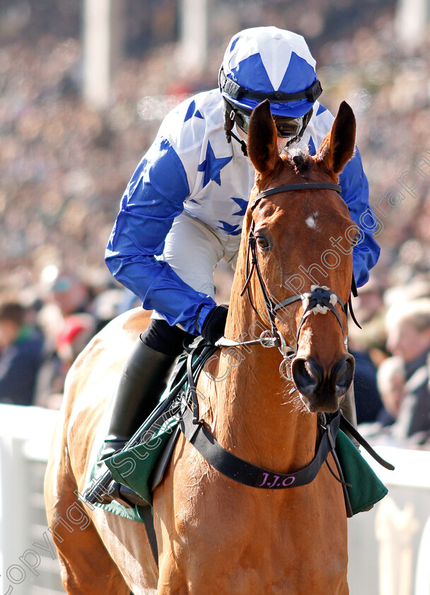 Annie-Mc-0001 
 ANNIE MC (Jonjo O'Neill Jr)
Cheltenham 12 Mar 2020 - Pic Steven Cargill / Racingfotos.com