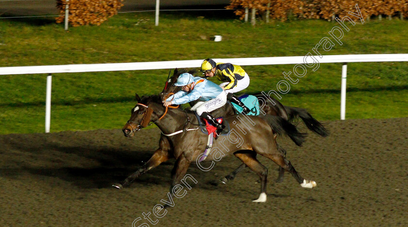 Lexington-Law-0002 
 LEXINGTON LAW (David Probert) wins The 32Red Handicap
Kempton 12 Dec 2018 - Pic Steven Cargill / Racingfotos.com