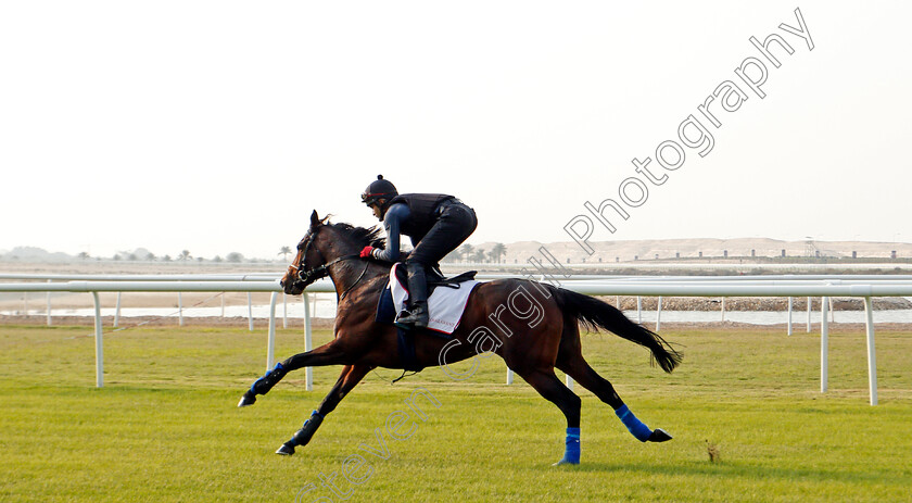 Global-Giant-0001 
 GLOBAL GIANT training for the Bahrain International Trophy
Rashid Equestrian & Horseracing Club, Bahrain, 18 Nov 2020