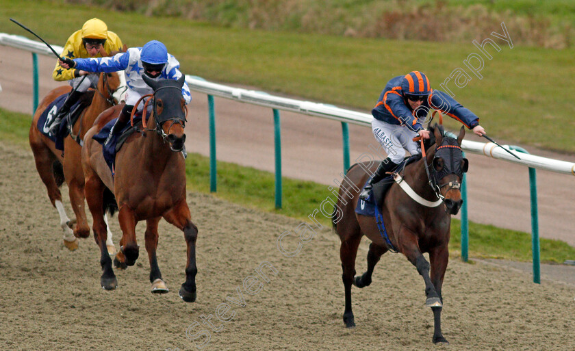 Torolight-0001 
 TOROLIGHT (Ben Curtis) beats MURHIB (left) in The Play 4 To Score At Betway Handicap
Lingfield 19 Feb 2021 - Pic Steven Cargill / Racingfotos.com