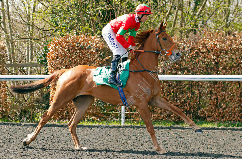 Rich-0001 
 RICH (Pat Dobbs)
Kempton 10 Apr 2023 - Pic Steven Cargill / Racingfotos.com