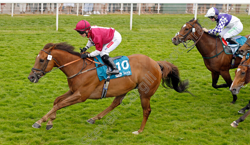 Mostawaa-0001 
 MOSTAWAA (Hollie Doyle) wins The Ice Co Supporting Macmillan Handicap
York 17 Jun 2023 - Pic Steven Cargill / Racingfotos.com