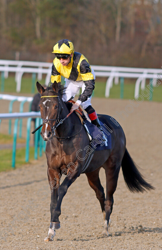 Island-Hideaway-0002 
 ISLAND HIDEAWAY (Shane Kelly) winner of The Ladbrokes Home Of The Odds Boost Maiden Fillies Stakes
Lingfield 9 Dec 2019 - Pic Steven Cargill / Racingfotos.com