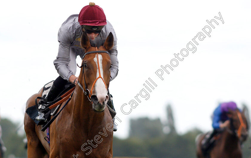 Qaysar-0004 
 QAYSAR (James Doyle) wins The Melbourne 10 Handicap
Newbury 6 Aug 2019 - Pic Steven Cargill / Racingfotos.com