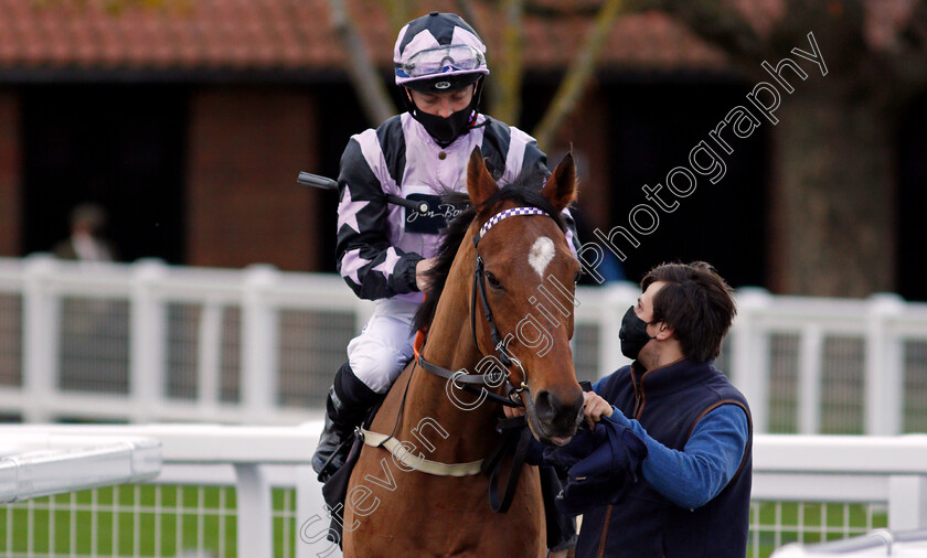 Dolphin-Vista-0001 
 DOLPHIN VISTA (Ray Dawson)
Newmarket 30 Oct 2020 - Pic Steven Cargill / Racingfotos.com