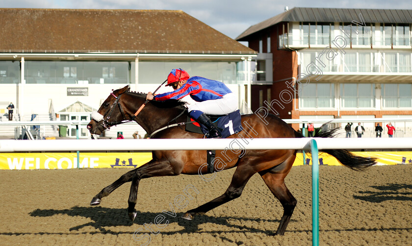 Lord-Of-The-Lodge-0004 
 LORD OF THE LODGE (Pierre-Louis Jamin) wins The Bombardier All-Weather Championships Apprentice Handicap
Lingfield 2 Apr 2021 - Pic Steven Cargill / Racingfotos.com