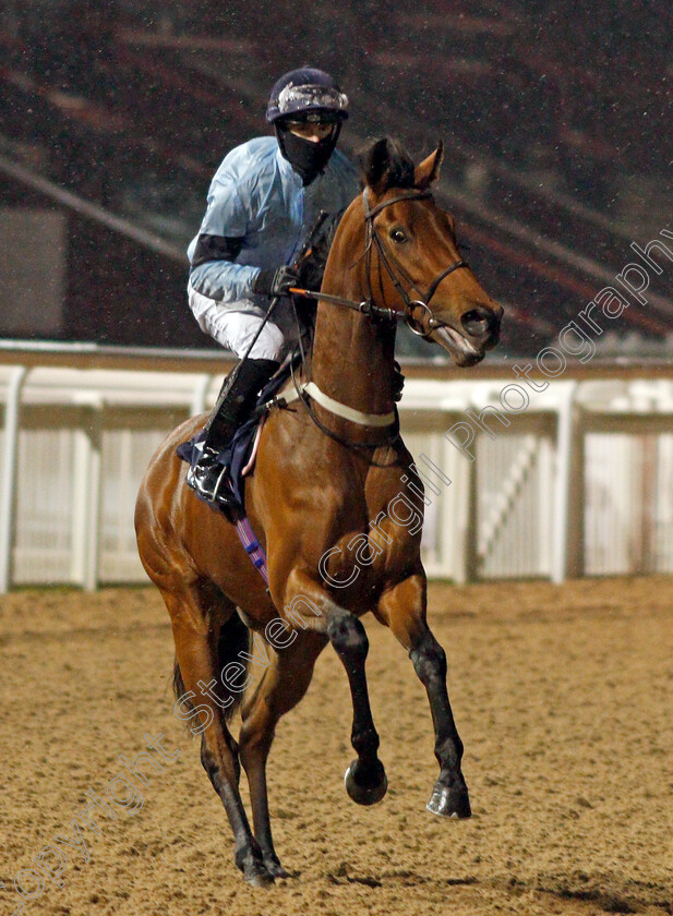 Petalite-0001 
 PETALITE (Richard Kingscote)
Wolverhampton 4 Jan 2021 - Pic Steven Cargill / Racingfotos.com