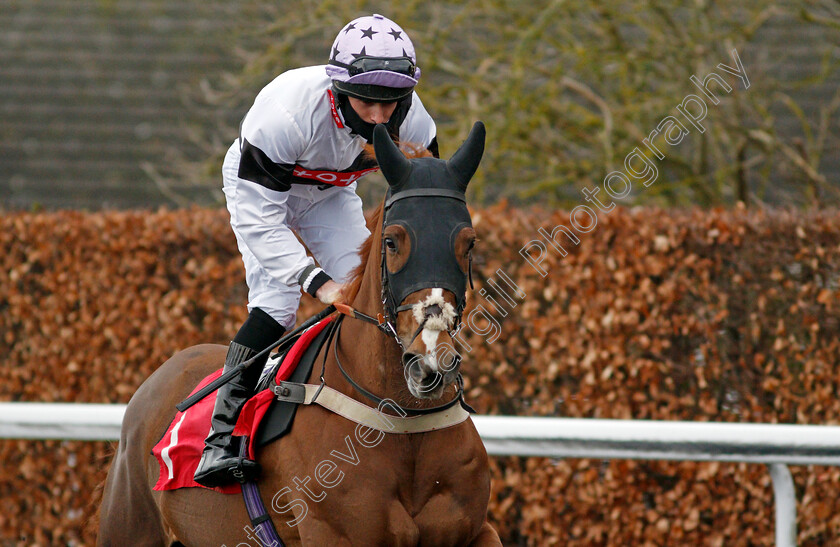 Bagatelle-0001 
 BAGATELLE (Charlie Bennett)
Kempton 16 Feb 2021 - Pic Steven Cargill / Racingfotos.com