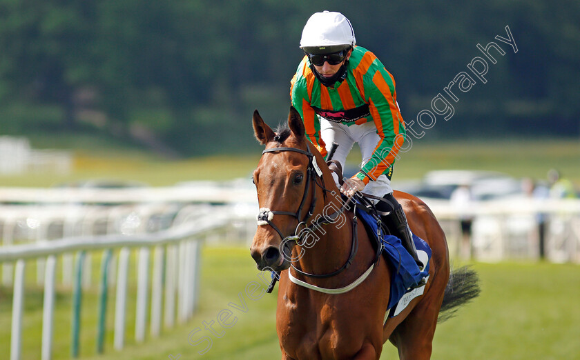 Blind-Beggar-0002 
 BLIND BEGGAR (Paul Hanagan)
York 12 Jun 2021 - Pic Steven Cargill / Racingfotos.com