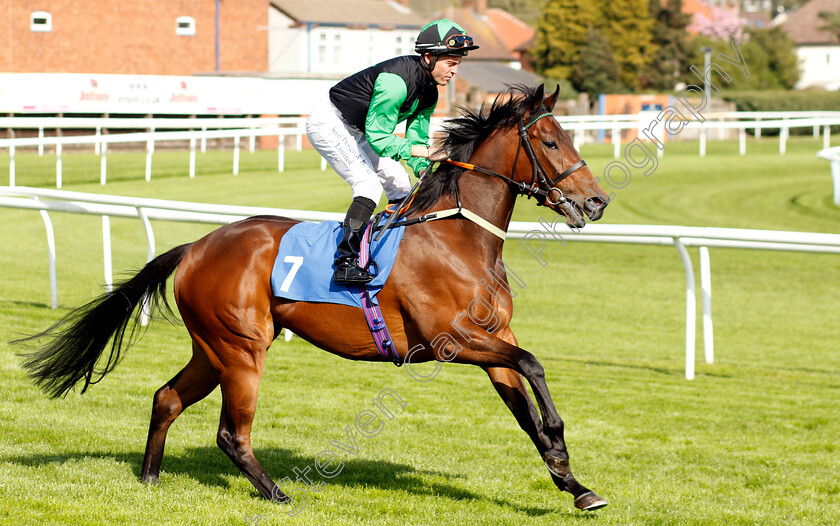 Angel-Time-0001 
 ANGEL TIME (Ray Dawson)
Leicester 29 Apr 2023 - Pic Steven Cargill / Racingfotos.com