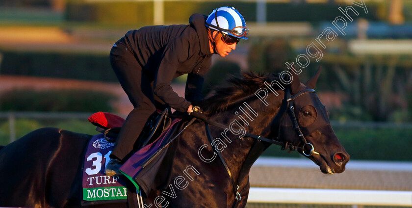 Mostahdaf-0004 
 MOSTAHDAF (Jim Crowley) training for The Breeders' Cup Turf
Santa Anita 2 Nov 2023 - Pic Steven Cargill / Racingfotos.com