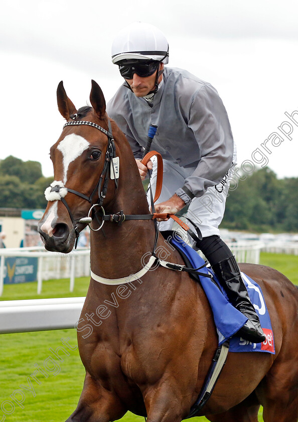 Dorothy-Lawrence-0001 
 DOROTHY LAWRENCE (Daniel Tudhope)
York 24 Aug 2023 - Pic Steven Cargill / Racingfotos.com