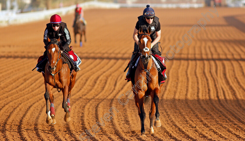 Baron-Samedi-and-Thunder-Moon-0002 
 THUNDER MOON (left) and BARON SAMEDI (right) training at the Saudi Cup
King Abdulaziz Racetrack, Riyadh, Saudi Arabia 23 Feb 2022 - Pic Steven Cargill / Racingfotos.com