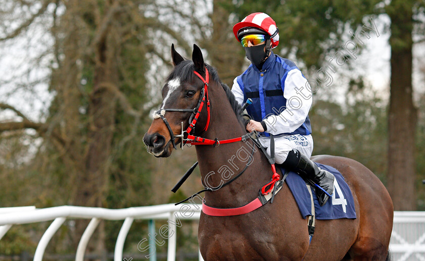 Marnie-James-0002 
 MARNIE JAMES (Ben Curtis)
Lingfield 6 Mar 2021 - Pic Steven Cargill / Racingfotos.com