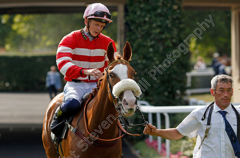 Havagomecca-0005 
 HAVAGOMECCA (David Probert) after The Berenberg October Club Supporting Cares Family Fillies Handicap
Ascot 23 Jul 2021 - Pic Steven Cargill / Racingfotos.com