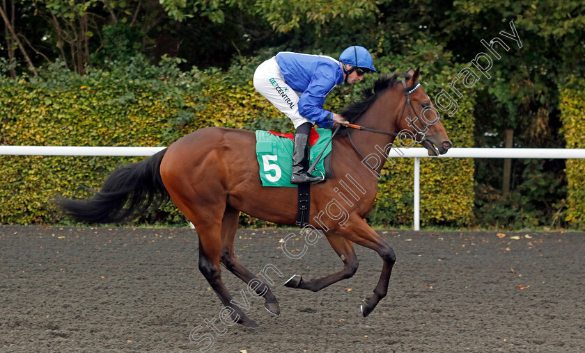 Kosometsuke-0001 
 KOSOMETSUKE (Jack Mitchell)
Kempton 2 Oct 2024 - pic Steven Cargill / Racingfotos.com