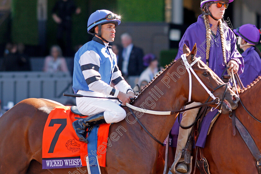 Wicked-Whisper-0001 
 WICKED WHISPER (Joel Rosario)
Santa Anita 1 Nov 2019 - Pic Steven Cargill / Racingfotos.com