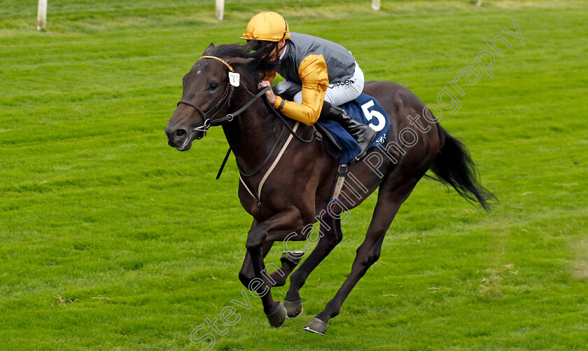 Indian-Run-0003 
 INDIAN RUN (Daniel Tudhope) wins The Tattersalls Acomb Stakes
York 23 Aug 2023 - Pic Steven Cargill / Racingfotos.com