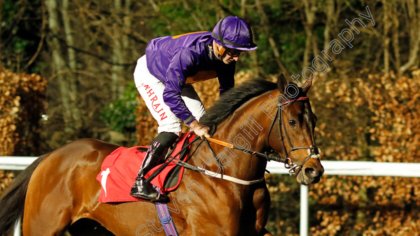 The-X-O-0001 
 THE X O (Tom Marquand)
Kempton 14 Feb 2024 - Pic Steven Cargill / Racingfotos.com