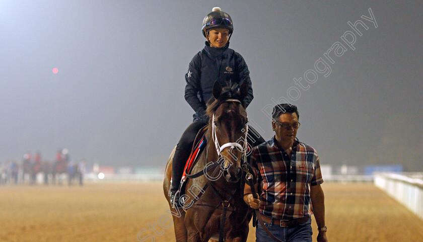 Life-Is-Good-0019 
 LIFE IS GOOD training for the Dubai World Cup
Meydan, Dubai, 22 Mar 2022 - Pic Steven Cargill / Racingfotos.com