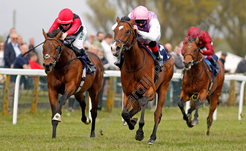 Tolstoy-0005 
 TOLSTOY (Martin Harley) wins The British Stallion Studs EBF Novice Stakes
Yarmouth 19 May 2021 - Pic Steven Cargill / Racingfotos.com