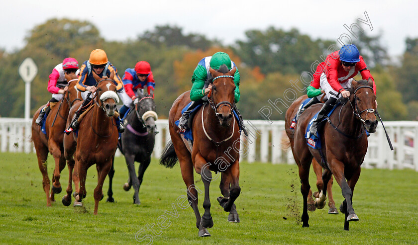 One-Master-0002 
 ONE MASTER (centre, Martin Harley) beatd ETERNALLY (right) in The Totepool British EBF October Stakes Ascot 7 Oct 2017 - Pic Steven Cargill / Racingfotos.com