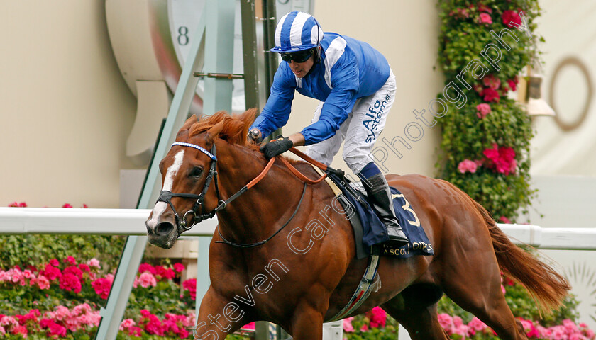 Mohaafeth-0009 
 MOHAAFETH (Jim Crowley) wins The Hampton Court Stakes
Royal Ascot 17 Jun 2021 - Pic Steven Cargill / Racingfotos.com