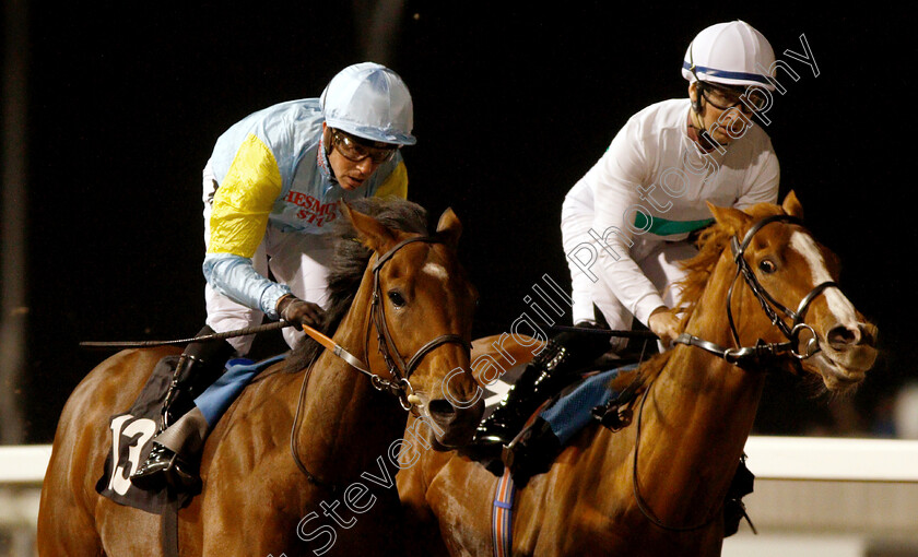 Tauteke-0001 
 TAUTEKE (left, Jim Crowley) beats SO HIGH (right) in The Irish Lotto At totesport.com British EBF Novice Stakes
Chelmsford 29 Nov 2018 - Pic Steven Cargill / Racingfotos.com