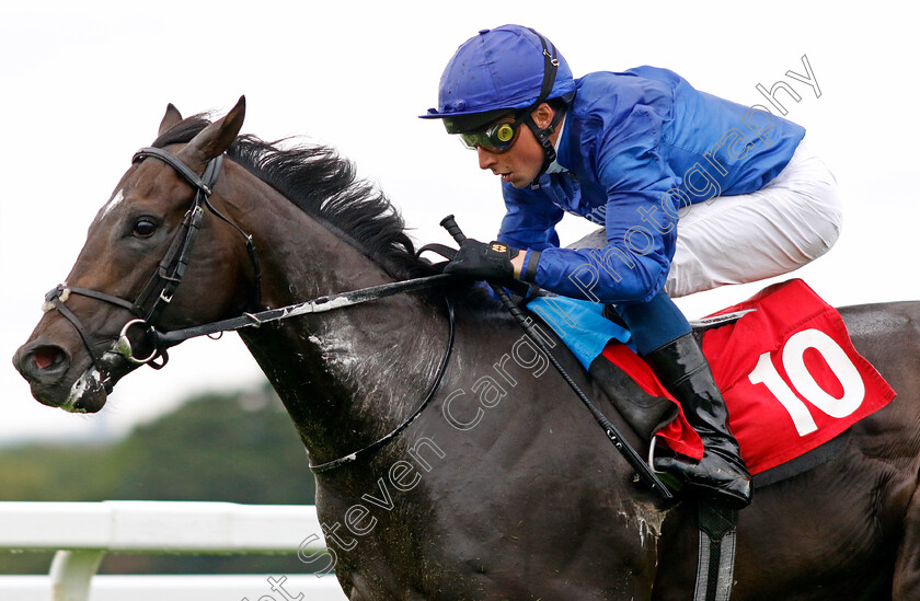 Ruling-Court-0002 
 RULING COURT (William Buick) wins The Martin Densham & Peter Deal Memorial British EBF Maiden Stakes
Sandown 25 Jul 2024 - Pic Steven Cargill / Racingfotos.com