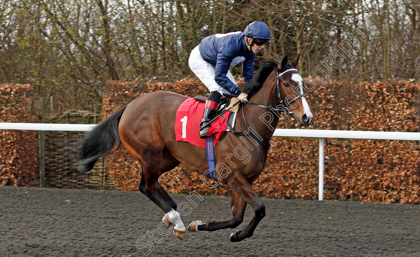 Lua-De-Mel-0001 
 LUA DE MEL (Ben Curtis)
Kempton 17 Feb 2020 - Pic Steven Cargill / Racingfotos.com