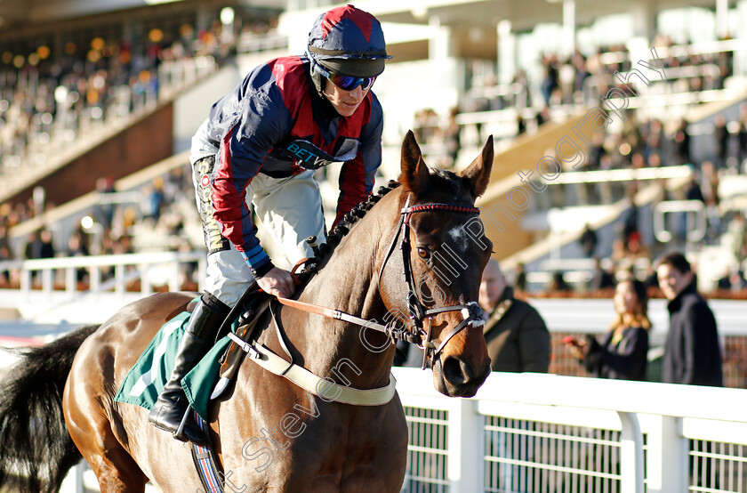 Datsalrightgino-0003 
 DATSALRIGHTGINO (Gavin Sheehan) winner of The British EBF National Hunt Novices Hurdle
Cheltenham 10 Dec 2021 - Pic Steven Cargill / Racingfotos.com