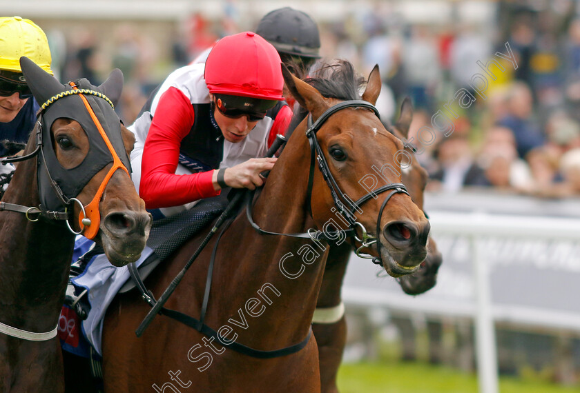 Croupier-0001 
 CROUPIER (William Buick) wins The Sky Bet Hambleton Handicap
York 18 May 2023 - Pic Steven Cargill / Racingfotos.com